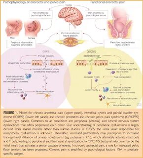 Published in Mayo Clinic proceedings 2016. 