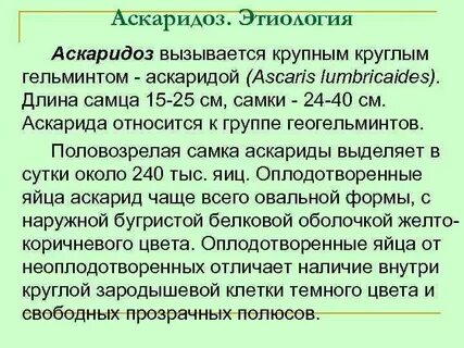 Возбудитель аскаридоза