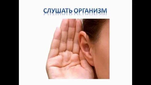 Организмы слушать