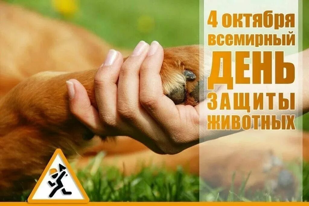 3 апреля день животных. День защиты животных. всемирный день защиты животных. всемирный день животных 4 октября. день защиты животных картинки.