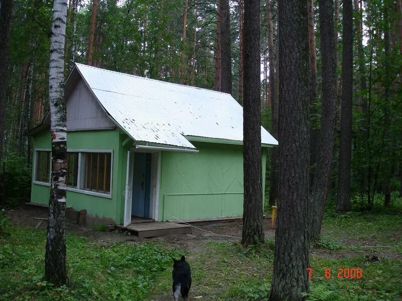 База белоярское водохранилище. Белоярская база отдыха. Родное подворье база отдыха Белоярское водохранилище. Базы Белоярка отдыха Свердловская область. Базы отдыха Свердловской области с домиками.