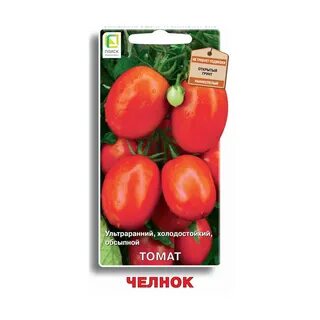 Томаты поиск