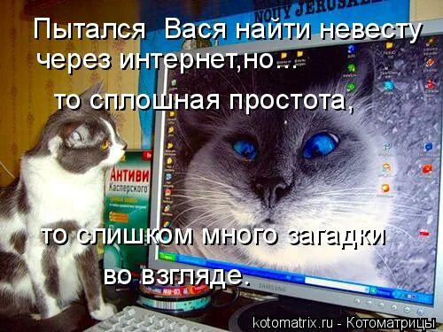 вася нашел в шкафу старый. вася нашел в шкафу старый. мужчина шкаф. мемы про васю. коты с надписями.