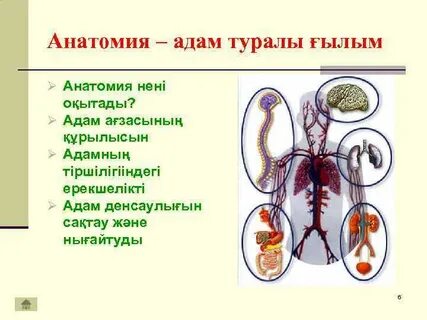 Биология казакша