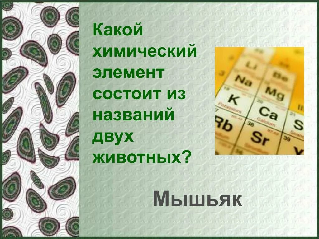Название состоит из двух животных. Химические элементы в животных. какой химический элемент состоит из двух животных. элемент название которого состоит из двух животных. название какого элемента состоит из названий двух животных.