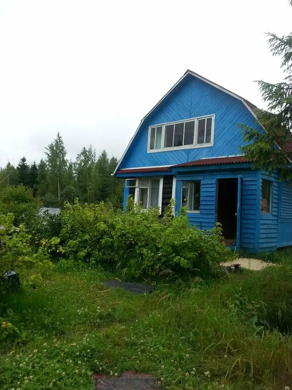 ленинградская область, киришский р-н, д. посадников остров киришский район линия 55. новгородская область кириши. витка киришский район. недвижимость кириши дома.