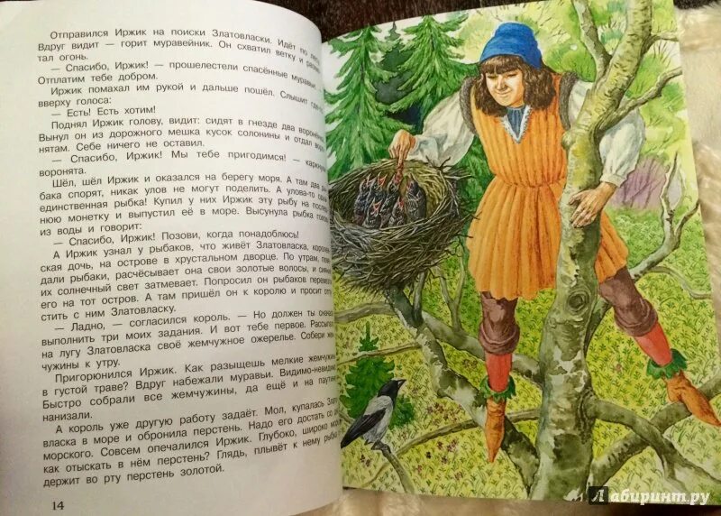 Дочь рыбака читать. Книга сказки народов света.