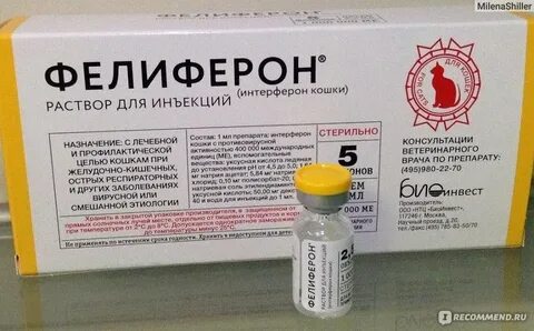 Интерферон инъекции