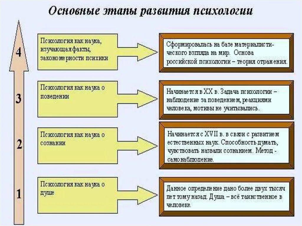 Первичная стадия развития. Основные стадии развития психики. Стадии развития психики схема. Основные этапы формирование психики. Основные этапы развития психики кратко.