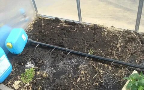 Простейший капельный полив своими руками