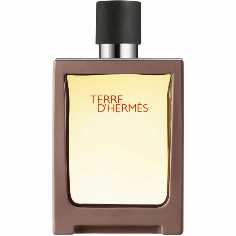 Туалетная вода hermes terre. Hermes Terre духи мужские. Гермес Terre d'Hermes. Hermes Terre d'Hermes мужские.