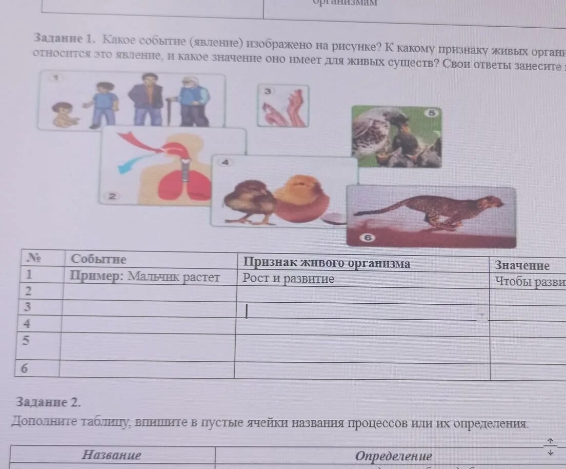 Рассмотрите явление изображение и выполните задание. На рисунке изображено явление.... какое явление изображено на рисунке. какое явление изображено на рисунке охарактеризуйте его. какое явление изображено на рисунке биология.