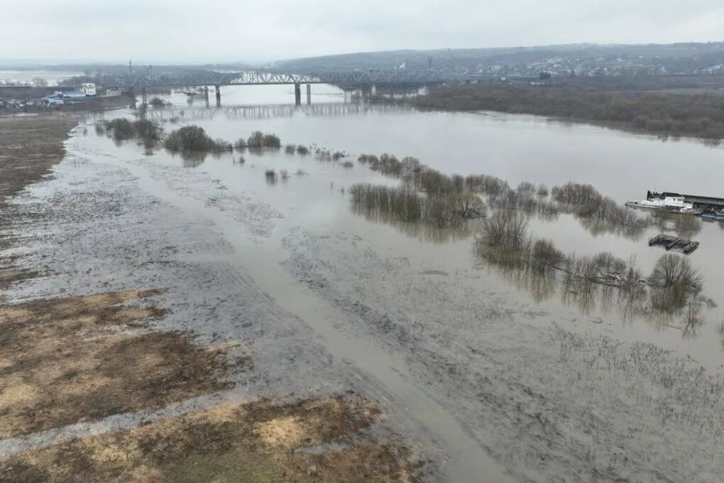 Уровень воды река ока серпухов на сегодня