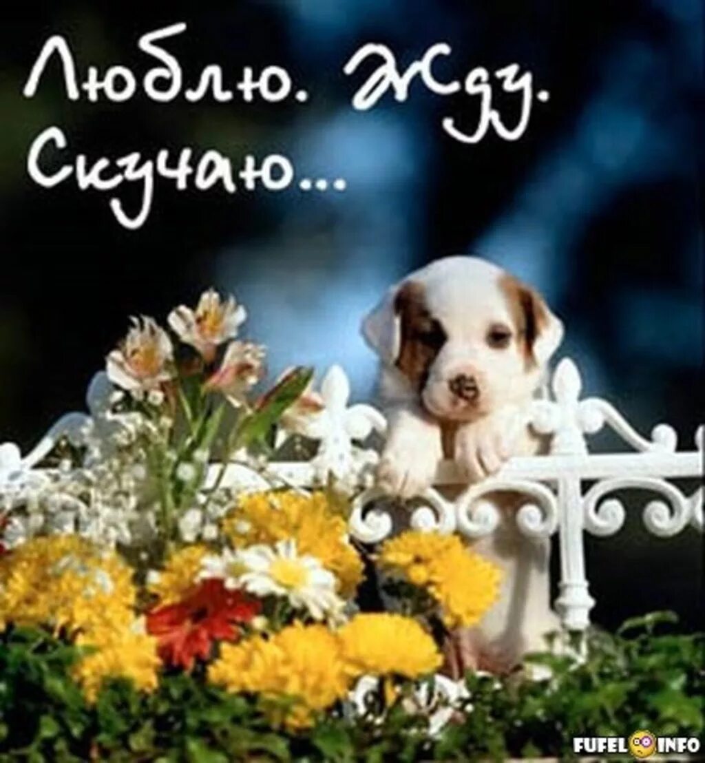 люблю скучаю надпись. открытки я скучаю для мужчины. стих жду встречи. жду скучаю песня. картинки люблю и скучаю.