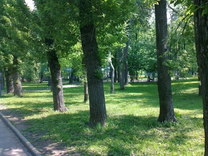 Детский парк фили москва. Детский парк фили москва. Детский парк фили москва. Филевский парк аттракционы. Парк фили зоопарк.