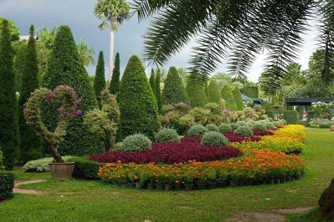 Топиарное искусство стрижка туи. Солитер ландшафтная архитектура. Топиарная стрижка кипарисовика. Топиарная стрижка туи. Растения используемые для озеленения.