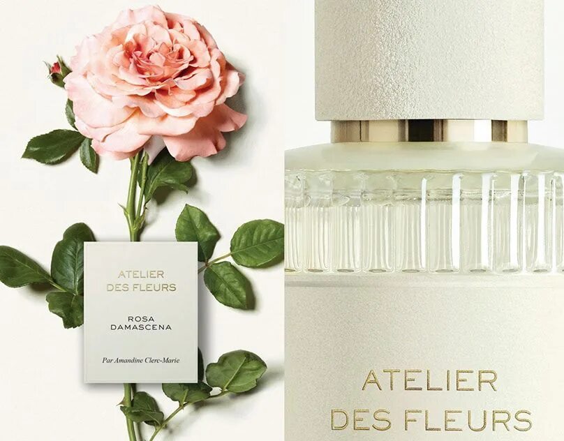 Chloe atelier des fleurs neroli 50 мл. Atelier de fleur. Atelier de fleur. Chloe atelier des fleurs neroli 50 мл. Парфюмер ательер.
