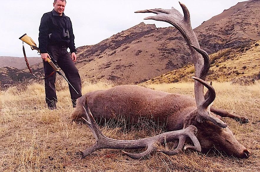 Истребление животных. Истребление животных. Прямое уничтожение животных. Истребление животных. Человек истребляет животных.