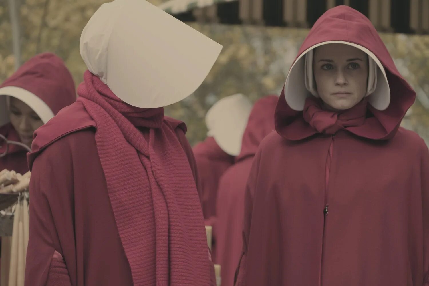 Алексис Бледел рассказ служанки. Handmaid s tale