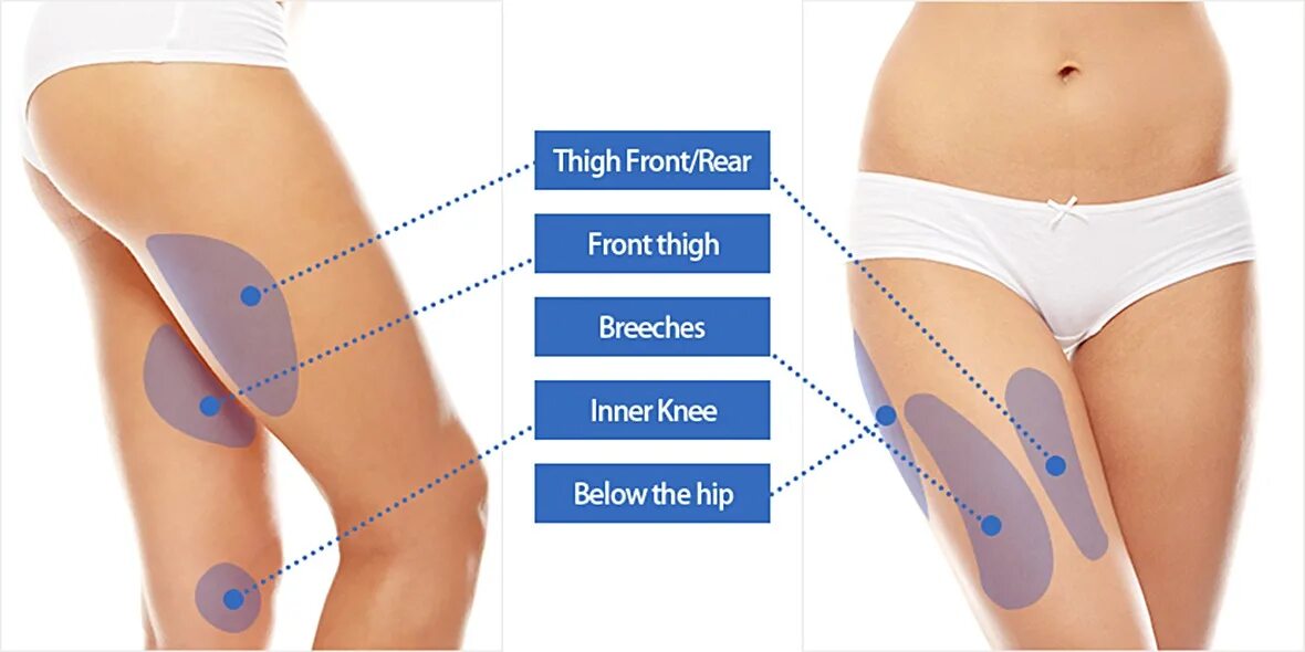 Hip thigh. Thigh Hip отличие. Thighs или Hips. Thighs Hips различия.