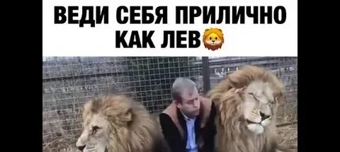 Если парень лев