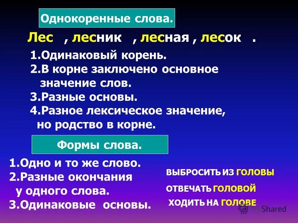 Однокоренное слово лес. Значение слова лес. Лексическое значение слова лес. Значение лесных слов. Лексическое значение слова Лесные.