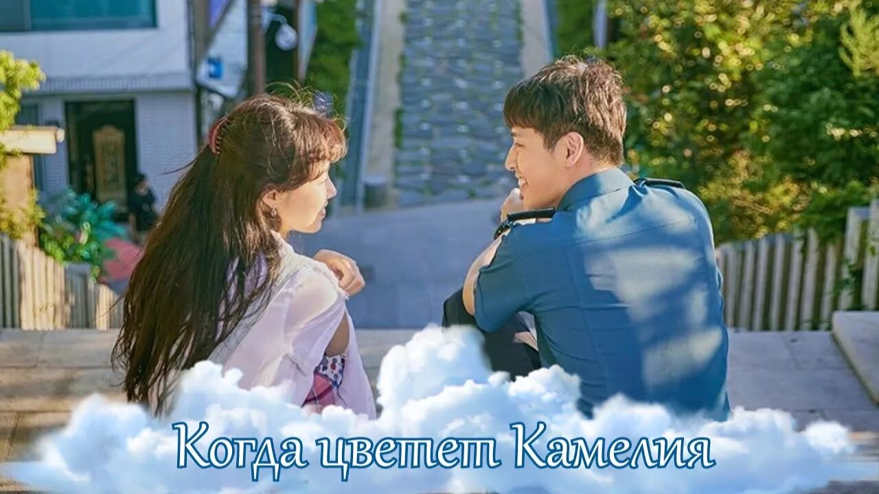 Когда цветет камелия 1. Когда цветет камелия. когда цветет камелия постер. когда цветёт камелия сериал 2019. камелия любовь моя.