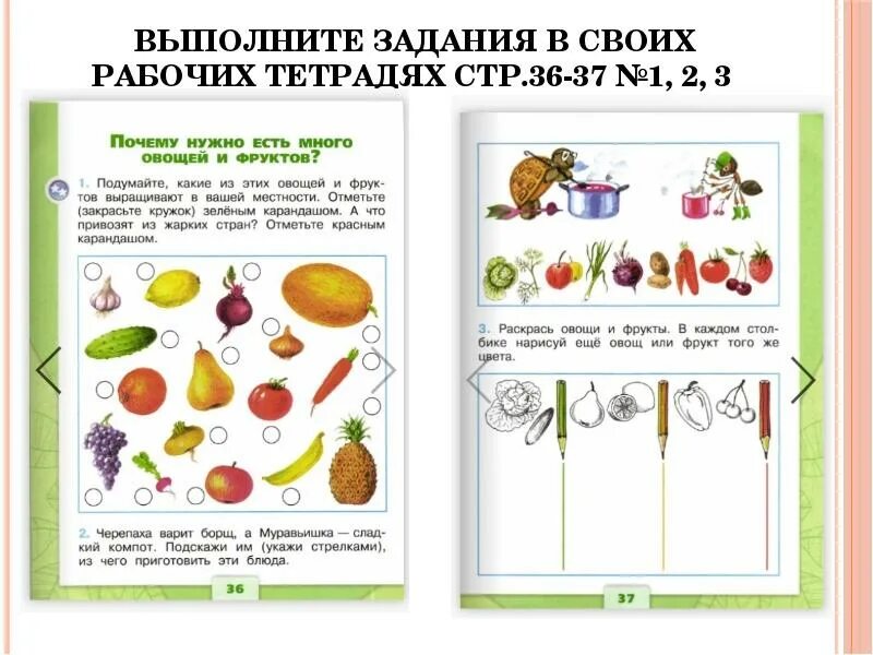 Школа России 1 класс учебники окружающий мир задания. Задания школа окружающий мир. Окружающий мир начальная школа задания. Школа России окружающий мир задания.