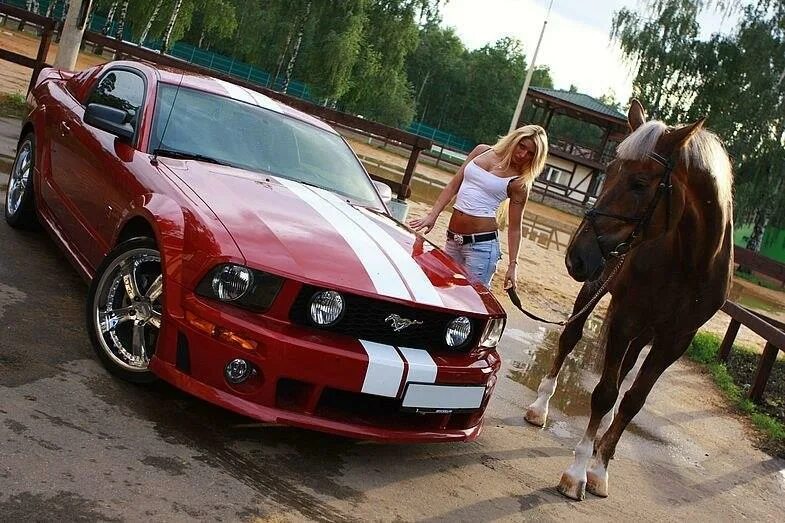 Конь какая машина. Машина с лошадкой. Мустанг машина и лошадь.