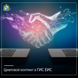 Глобальный цифровой договор 2024