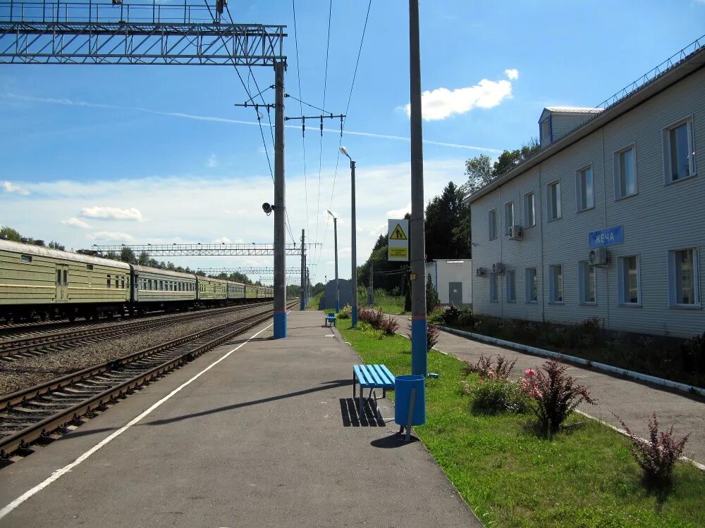 жеча стародубский район обстрел. жеча брянская область. жеча брянская. терминал жеча брянская. жеча брянская область обстрел.