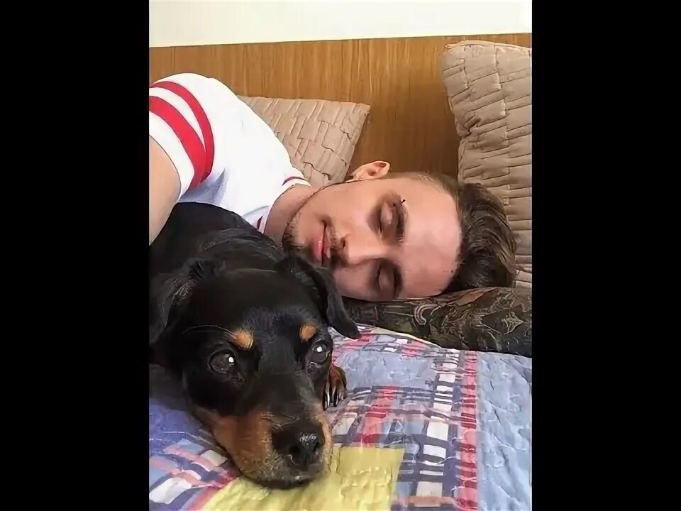 СТРИМ С СОБАКОЙ ЭДИСОНА/НАРЕЗКА СО СТРИМА ЭДИСОНА/EdisonPts - YouTube