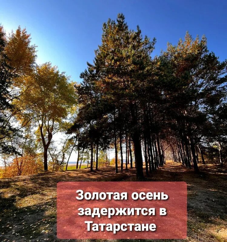 подслушано камское устье волжские зори. подслушано в устье. волжский зоре камское устье.