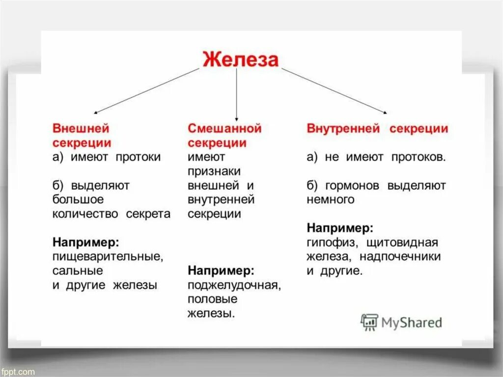Определение желез внутренней секреции. Типы желёз внешней секреции. типы железеенней секреции. схема желез смешанной секреции. таблица железы внешней внутренней и смешанной секреции 8.