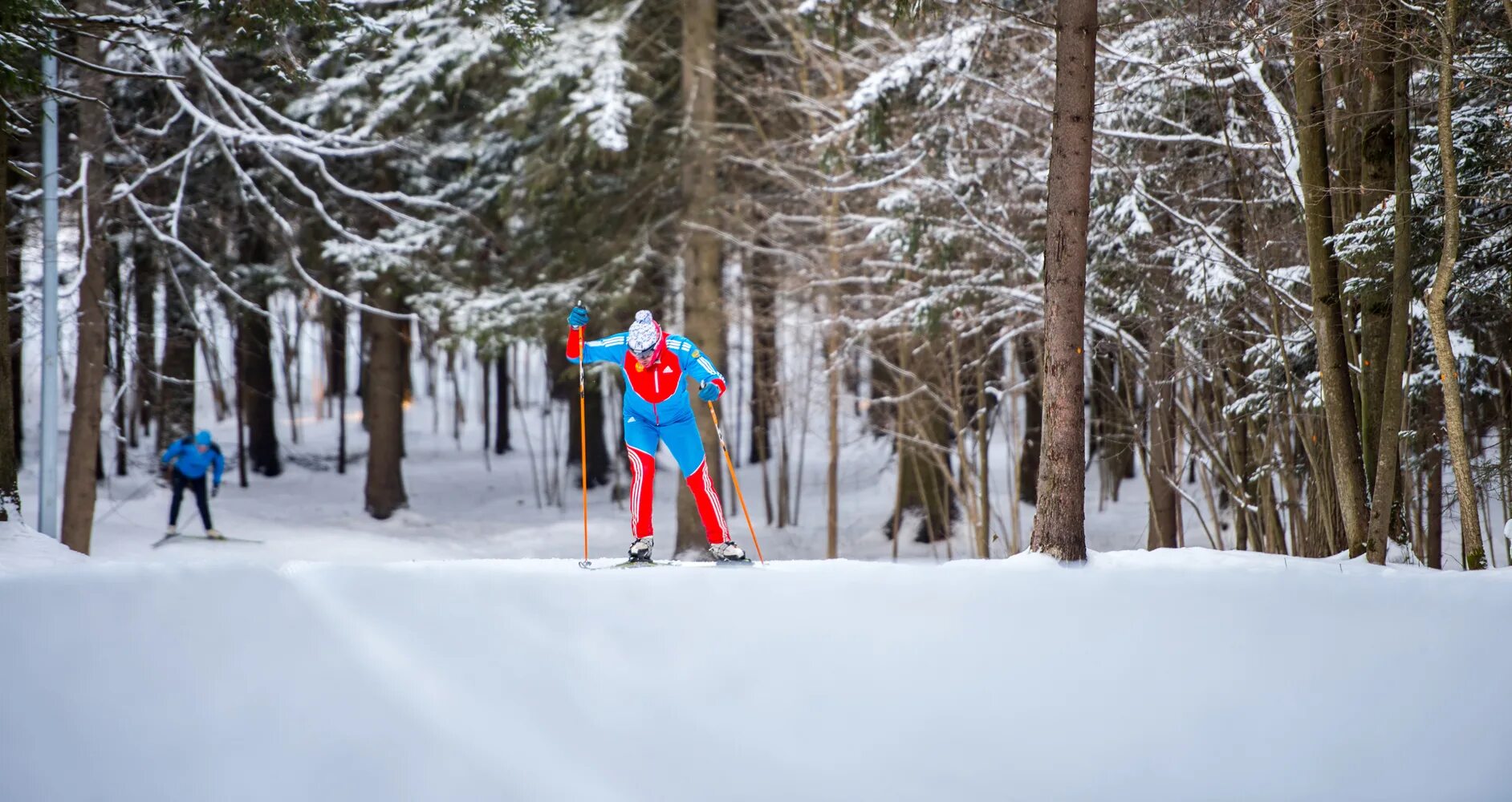 Ярославская лыжня набережная. Волжская набережная ярославль карта. Парк ларисы лазутиной лыжная трасса. Лыжная трасса речной вокзал. Лыжная трасса узюково.