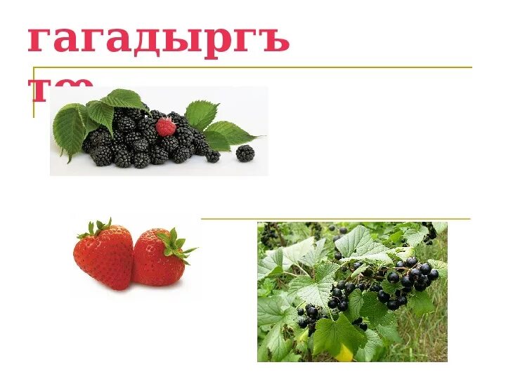 Овощи на чеченском языке. Овощи на осетинском. Чеченские фрукты и овощи. Овощи на осетинском. Фрукты на руском ящыке.