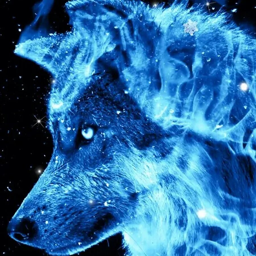 Security Check Required Wolf wallpaper, Wolf spirit animal, Wolf