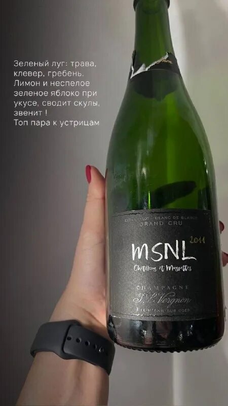 Аст интернэшнл инваэронмэнт wine логотип. Winehelp. Вайн хелп. Chiarella. Вайнхелп.