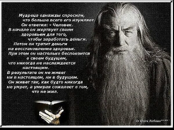 Мудрый человек одним словом