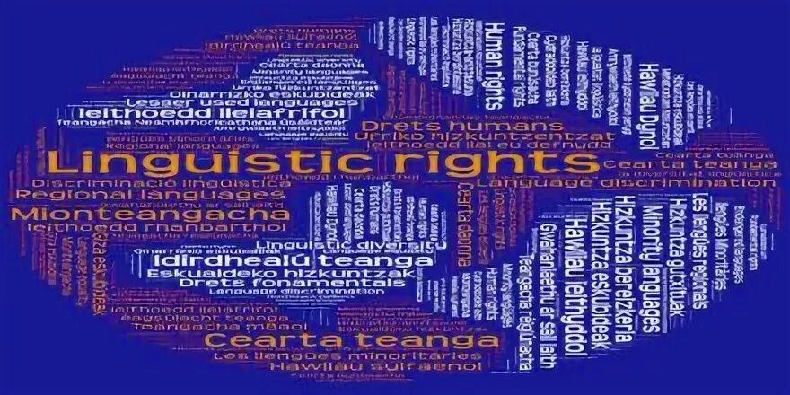 English french russian. Language rights. Minor linguistics. Language realities. Руссенорск обложка.