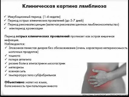 Признаки лямблиоза у взрослых симптомы лечение