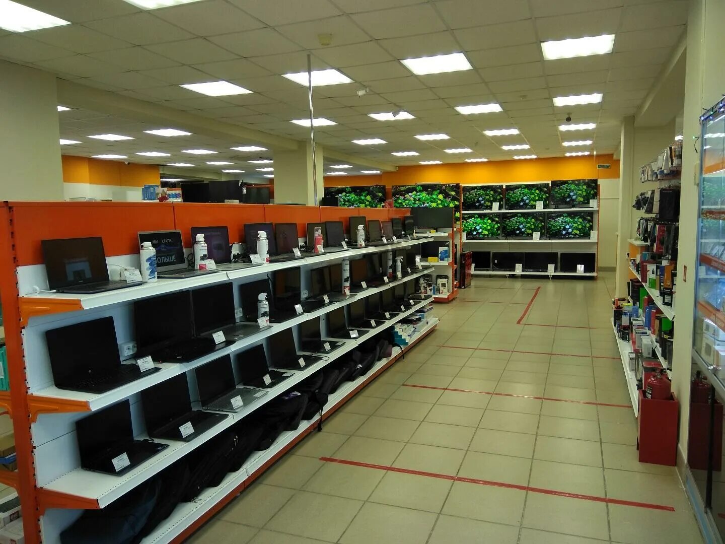 днс сафоново