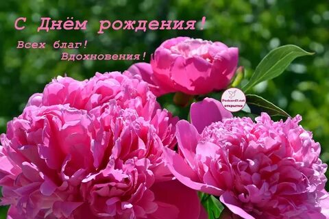 С днем рождения женщине цветы пионы