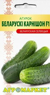 Сорта огурцов для беларуси