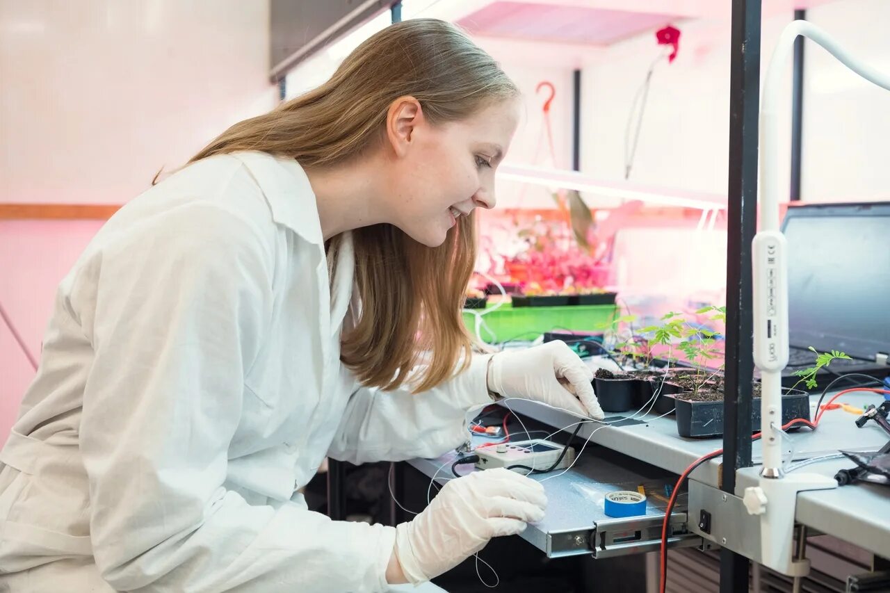 Art science university. Какие бывают лаборатории. вероника призова. itmo open science.