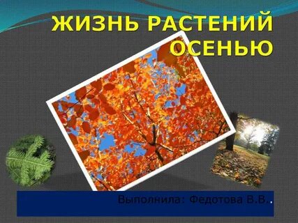 Жизнь растений осенью 2 класс презентация