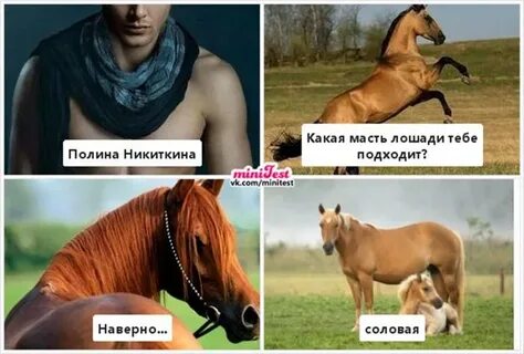 Песня больше не кобыла