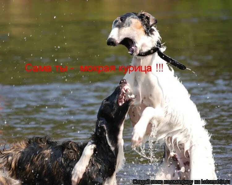 босые девушки. ходить босиком. девушка дождь. босиком под дождем. босиком под дождем.