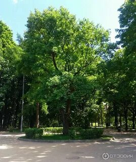 Парк дубки отзывы