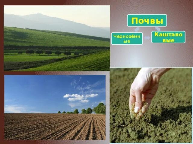 Карта почв краснодарского края по районам. Почвы армении. Тектоническая карта терско каспийский прогиб. Почва большого кавказа. Почва большого кавказа.